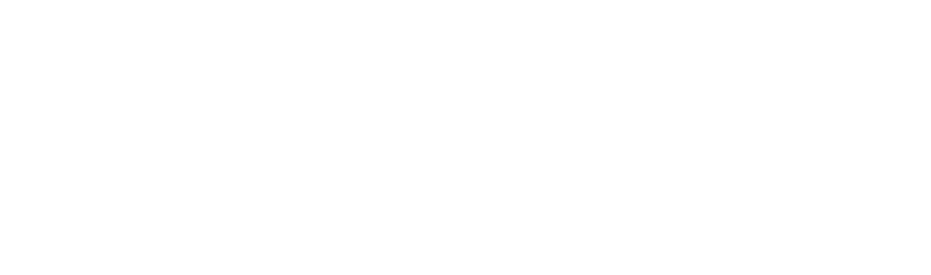 EasyVirtualFair logo